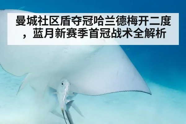 曼城社区盾夺冠哈兰德梅开二度,蓝月新赛季首冠战术全解析