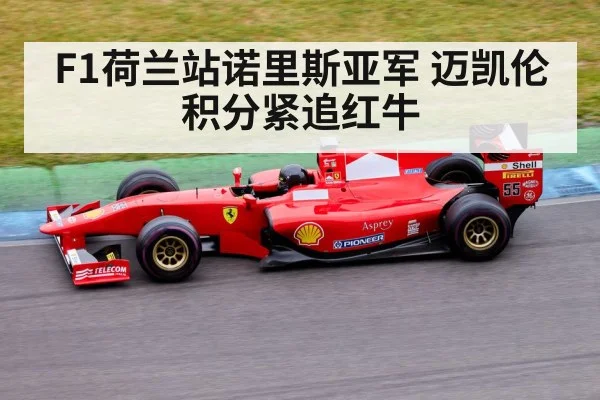 F1荷兰站诺里斯亚军 迈凯伦积分紧追红牛