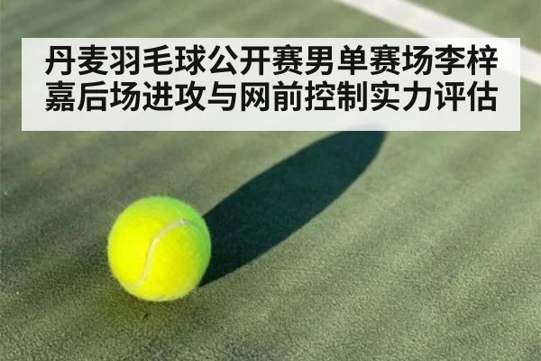 丹麦羽毛球公开赛男单赛场李梓嘉后场进攻与网前控制实力评估